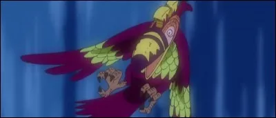 Épisode 164 - Quelle est la particularité des South Birds de Skypiea ?