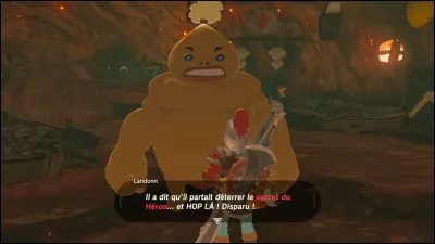 Un Goron a perdu son frère. Où celui-ci est-il parti ?