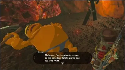 Link retrouve finalement le frère disparu (mentionné ci-dessus) mais celui-ci est épuisé. Que faut-il lui donner ?