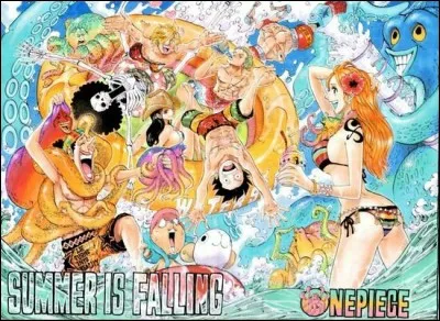 Quelles teintes de couleurs préfères-tu ?