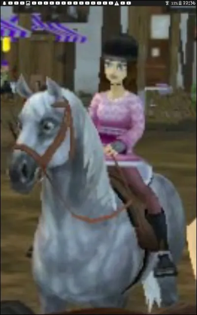 Comment désigne-t-on les débutants ?