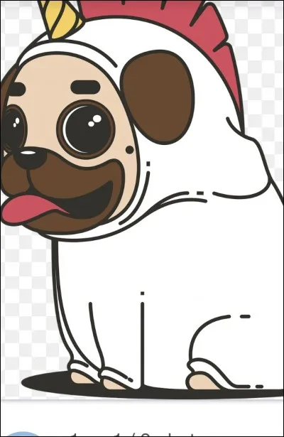 Quel serait ton nom idéal ?