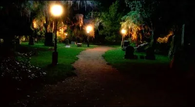 Bon Temps, "une super ville à visiter" selon ses habitants. Dans quelle série découvre-t-on ces habitants ?