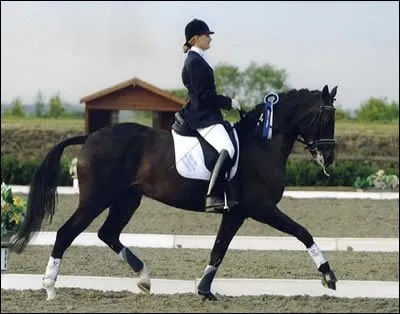 Dans quelle discipline l'utilise-t-on ?