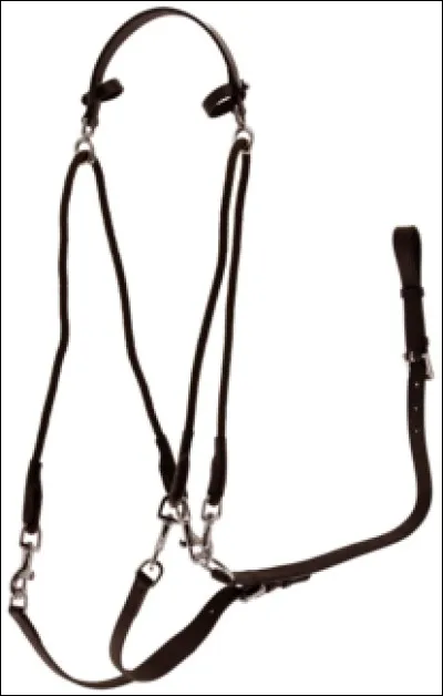 Où accroche-t-on la partie que l'on voit tout en haut de l'illustration ?