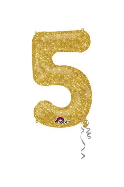 Quelle est la cinquième plus grande ville des États-Unis ?