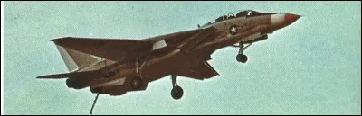 Ce chasseur est un Grumman...