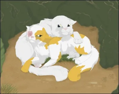 Qu'est-il arrivé à Cur Blanc ?