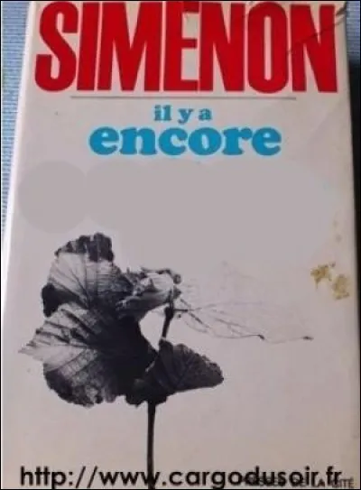 Retrouvez le titre du roman de Georges Simenon :