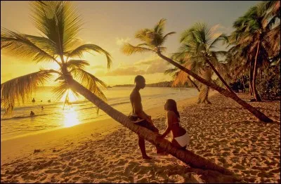 "Mésyé zé dam bonjou" veut dire...