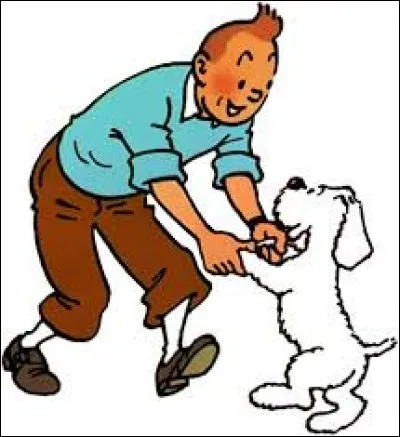 Quelle est la couleur de l'île d'après le titre d'une bande dessinée de Tintin ?