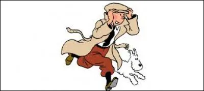 Qui est concerné par une affaire d'après le titre d'une bande dessinée de Tintin ?