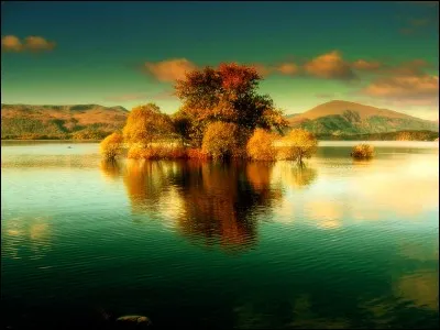 Ce sont des arbres...