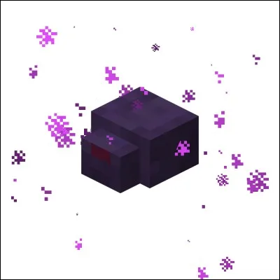 Quel est cet objet ?