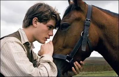 Tu as un animal de compagnie.