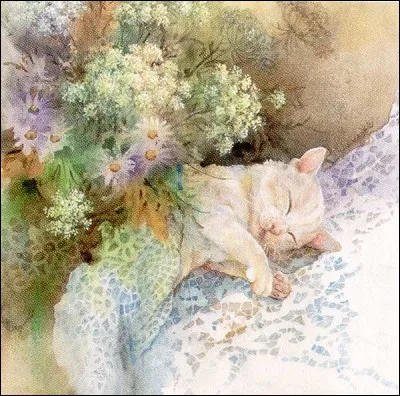 Ce chat endormi repose bien à l'abri d'un type de voile mince, au maillage ajouré. Dans quel département ce tissu était-il fabriqué originellement ?