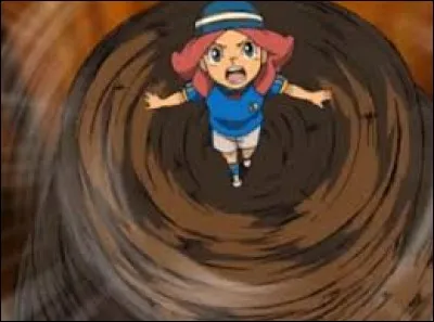 Quelle est cette technique qu'utilise Tori, pour défendre ?