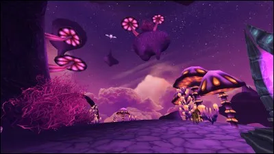 Quel est cet endroit ?