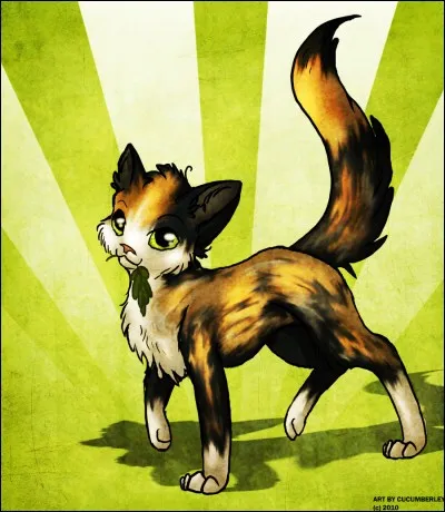 Qu'est-ce que les chats doivent traverser ?