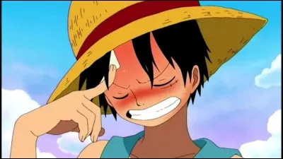 Vous &ecirc;tes plut&ocirc;t :