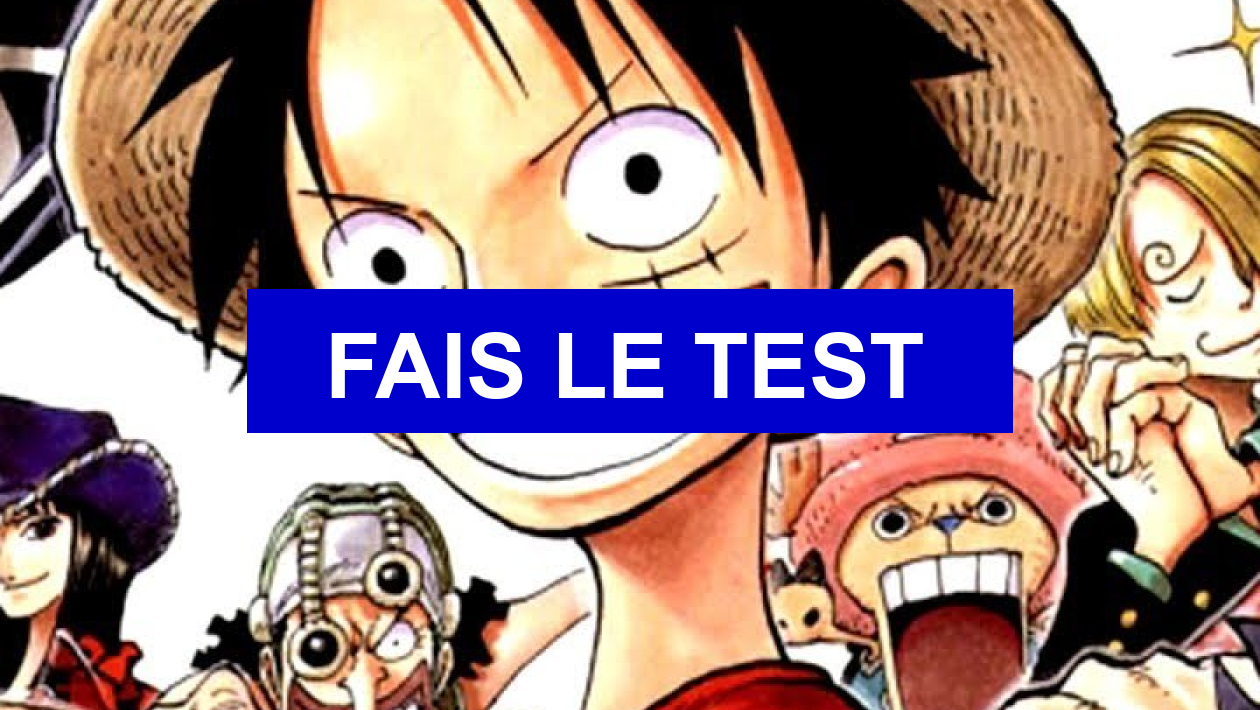 Test De Personnalite Fruit Du Demon Le test ultime de... ONE PIECE !