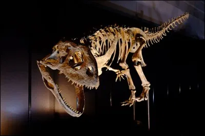 Quelle était la particularité du Majungasaurus ?