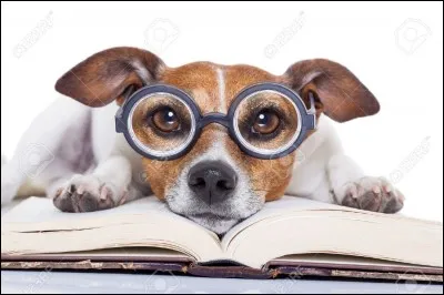 Comment tes amis te d&eacute;crivent-ils ?