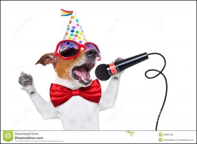 Lequel de ces choix te d&eacute;range le plus avec le chien ?