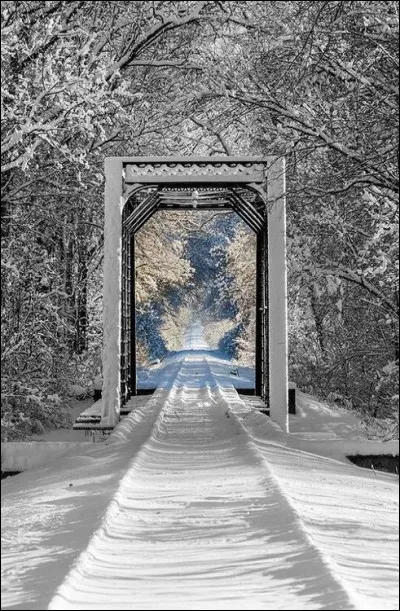 A quel compositeur autrichien doit-on "Voyage d'hiver" ?