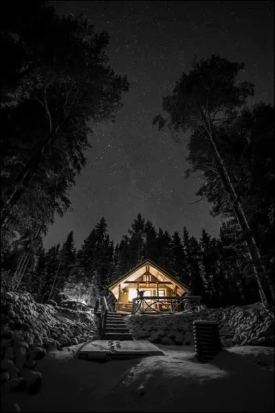 Quel chanteur décrit sa nuit chez la belle dame par les mots "Et la nuit descend sur les sapins blancs juste quand elle frappe des doigts" ?