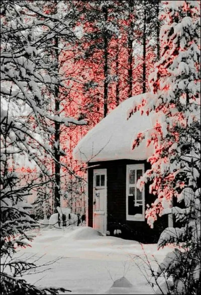 Dans sa chanson "Les mots bleus" Christophe nous chantait "Le vent d'hiver souffle en..."