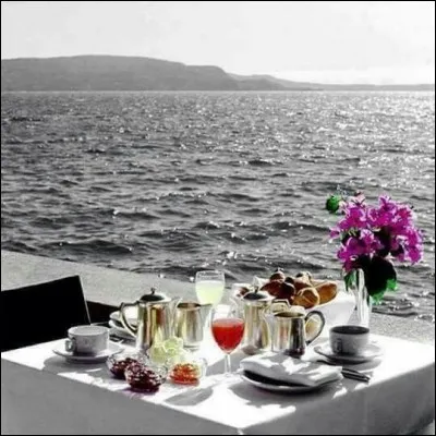 Il neige sur le lac Majeur, les oiseaux lyres sont en fleurs.... mais que sont les oiseaux-lyres ?