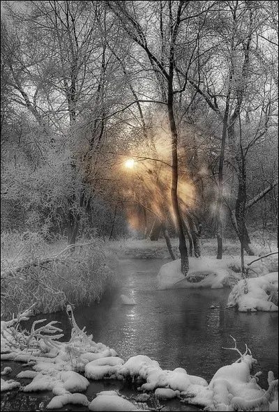 Qui chantait "Le sol est solide et glacé, les branches cassent comme du verre, la rivière s'est arrêtée, il fait plus hiver qu'en hiver", dans sa chanson "Le feu à la peau" ?