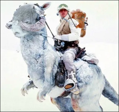 Quel est le nom des chevaux des neiges des rebelles ?