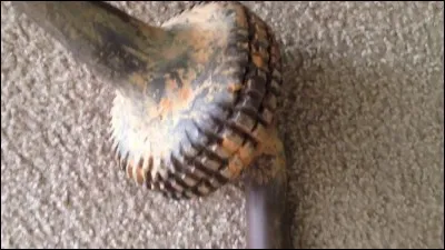 Qu'est-ce qu'un gaderffii ?