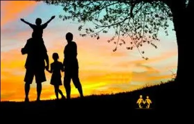 Quel est le plus important pour toi ?