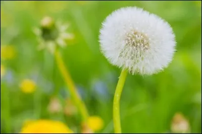 Quelle est la saison que tu préfères ?