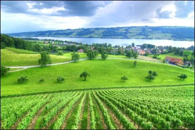 Si tu pouvais être une de ces choses, tu serais :