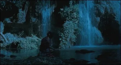 Le film thaï "Oncle Boonmee, celui qui se souvient de ses vies antérieures" a été Palme d'Or à Cannes en 2010. Dans l'un des passages du film, le personnage réincarné de la Princesse s'amuse dans la rivière avec quel poisson ?