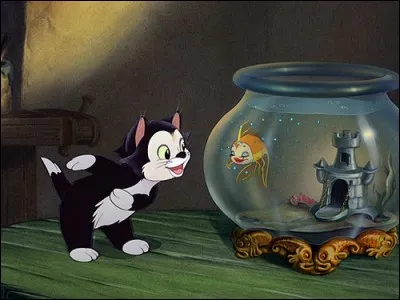Dans le très beau film Disney titré Pinocchio, le ravissant poisson rouge est amoureux fou... du chat ! Si Figaro est le chat, qui est le poisson ?