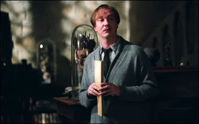 Que verrait Voldemort s'il faisait face à un épouvantard ?