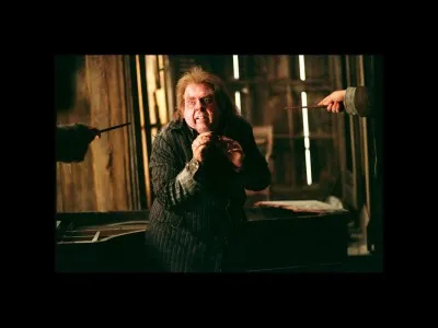 Dans le livre "Harry Potter et les Reliques de la Mort", comment Queudver est-il tué ?