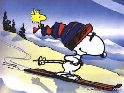 Voici un bien étrange personnage équipée de skis. Quel est son nom ?
