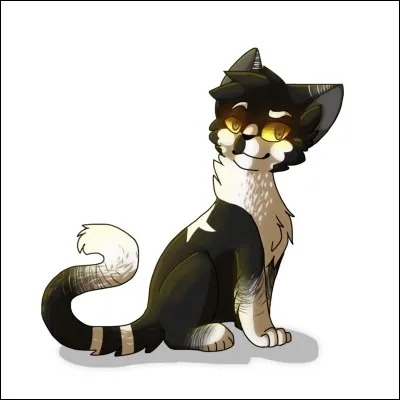 Je suis le chef qui a survécu le plus longtemps durant l'ère des clans. Je suis :