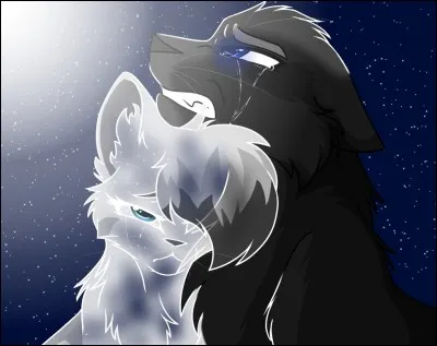 J'ai aimé deux chattes, et je suis le compagnon d'une troisième. J'ai quatre chatons, un légal, trois illégaux. Je suis :