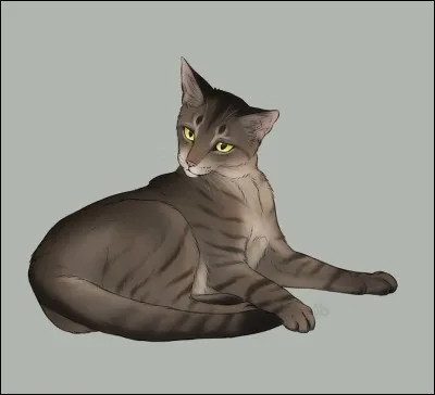 Je suis un chef horrible, j'ai même fait en sorte que des chatons de moins de 6 lunes soient apprentis. Je suis :