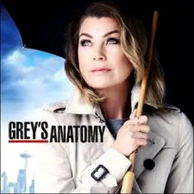 "Grey's Anatomy" : où se déroulent les événements de la série ?