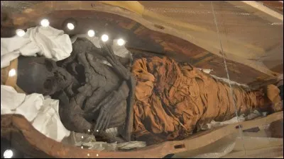 Comment appelle-t-on un cadavre préservé de la putréfaction au moyen de l'embaumement ?