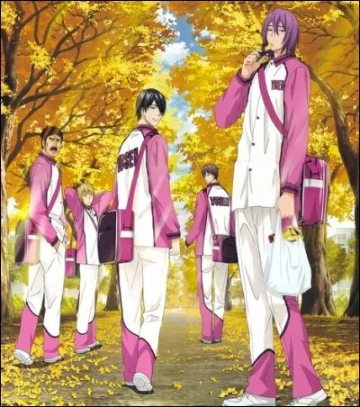 Comment se nomment les autres joueurs qui composent l'équipe ?