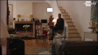 Quelle est la couleur de l'orchidée ? Elle est :